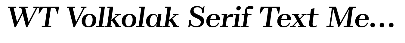 WT Volkolak Serif Text Medium Italic image